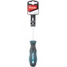 MAKITA B-65981 šroubovák Torx TX15 délka 100mm